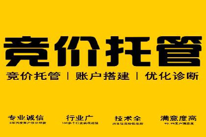 SEM竞价案例：如何实现精准广告投放